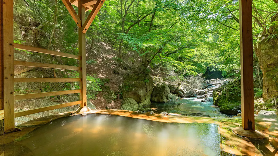 Shiobara Onsen Shionoyu Kashiwaya Ryokan