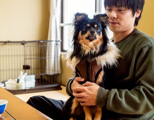 【ペット専用-和室8畳】