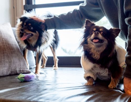 【客室イメージ】