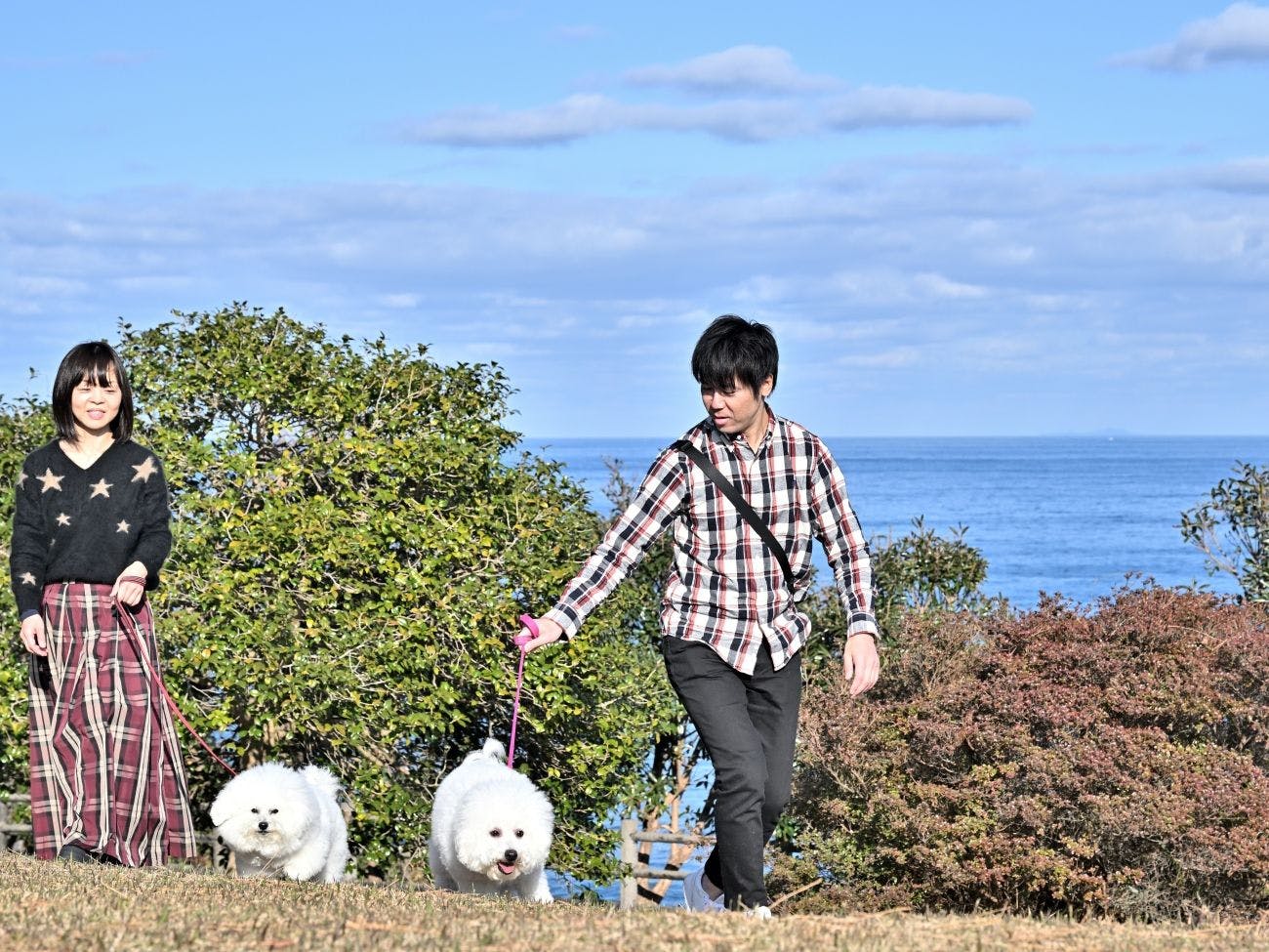 【鄰近的尾之上公園】非常適合散步。