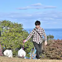 【鄰近的尾之上公園】非常適合散步。