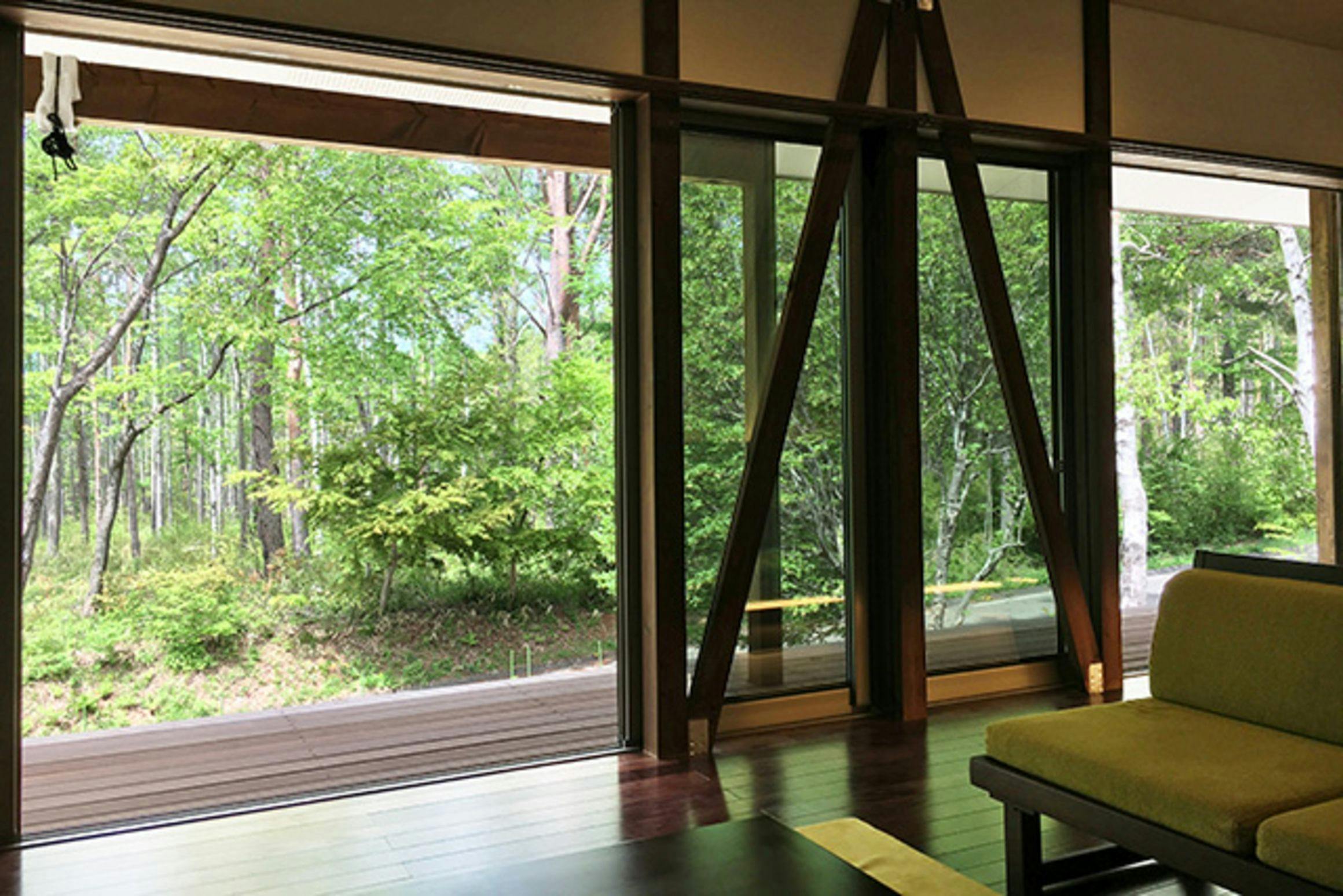 The forest visible from the cottage window