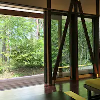 The forest visible from the cottage window