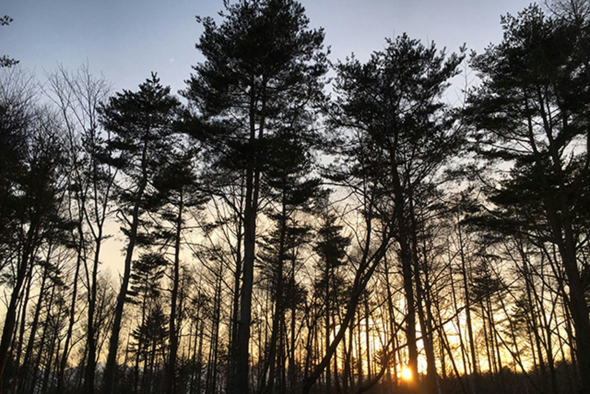 The sunset view from the cottage.