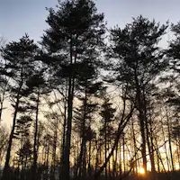 The sunset view from the cottage.