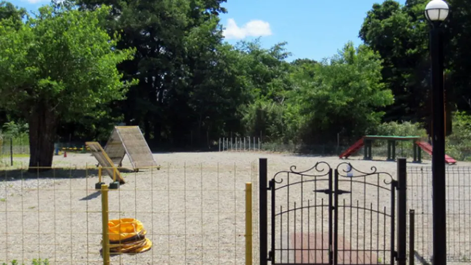 Dog's Pension Shanonchi