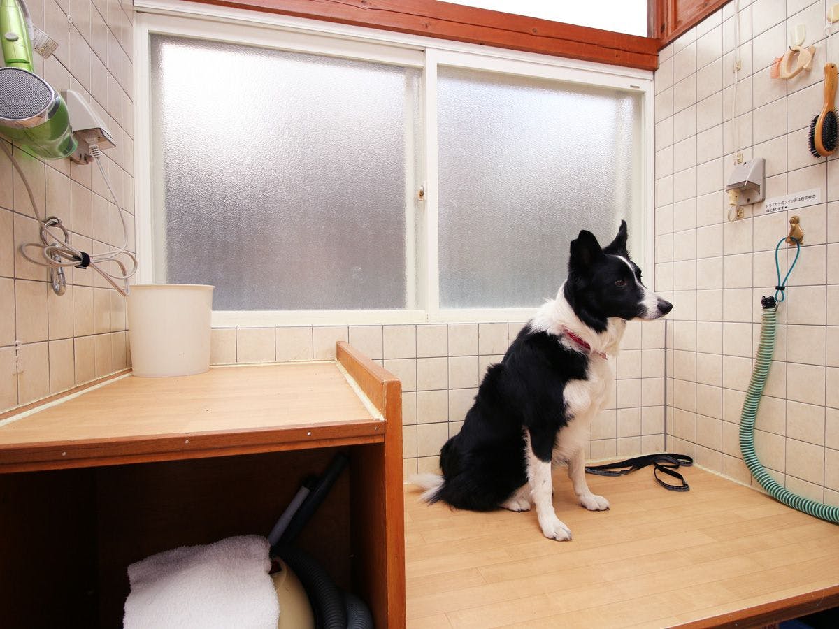 สิ่งอำนวยความสะดวก＿ภาพบรรยากาศการใช้งาน!