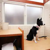 สิ่งอำนวยความสะดวก_ภาพบรรยากาศการใช้งาน!