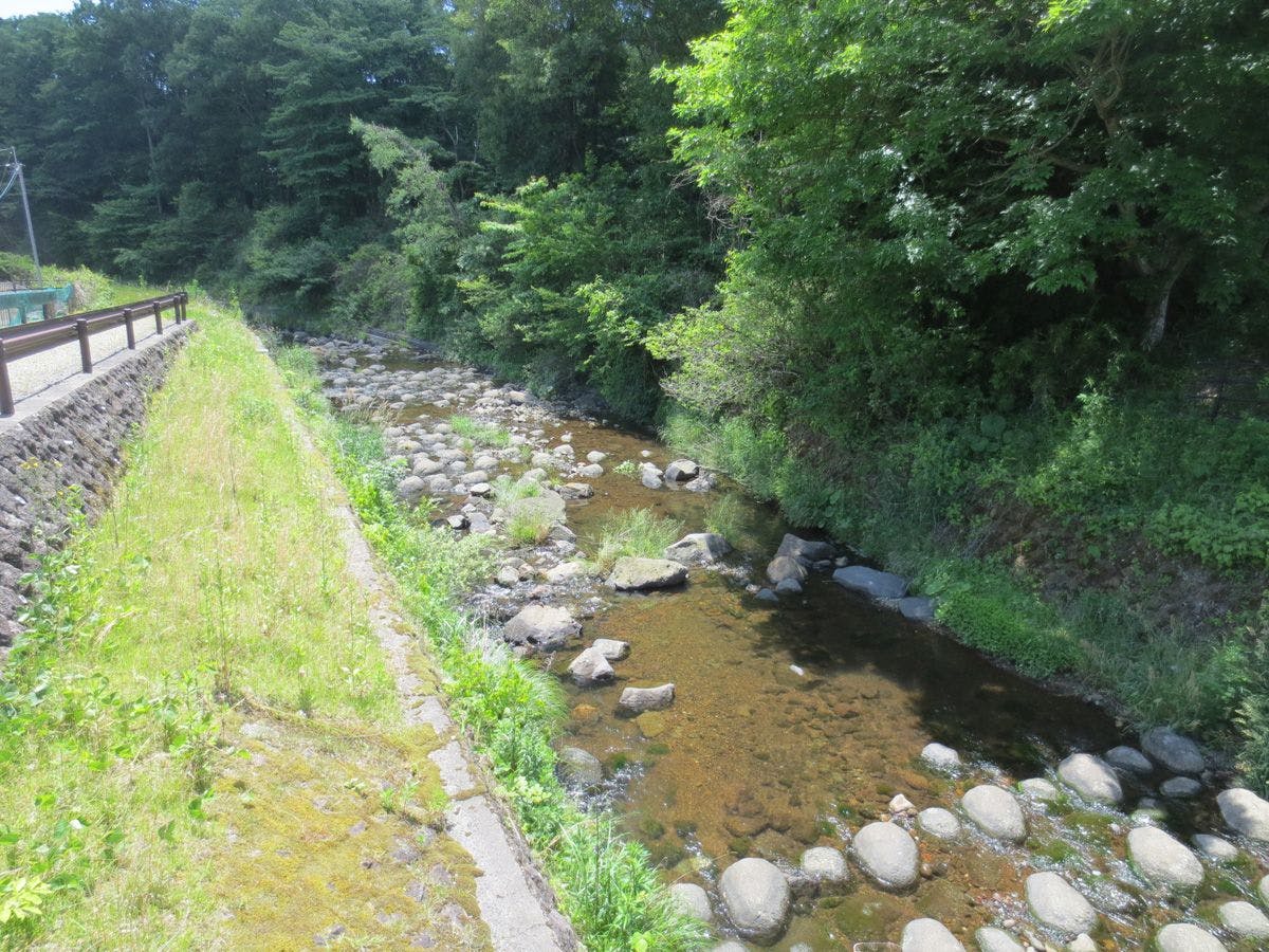 เดินเล่นไปตามเส้นทางเดินเล่นริมแม่น้ำยาว 1 กิโลเมตร