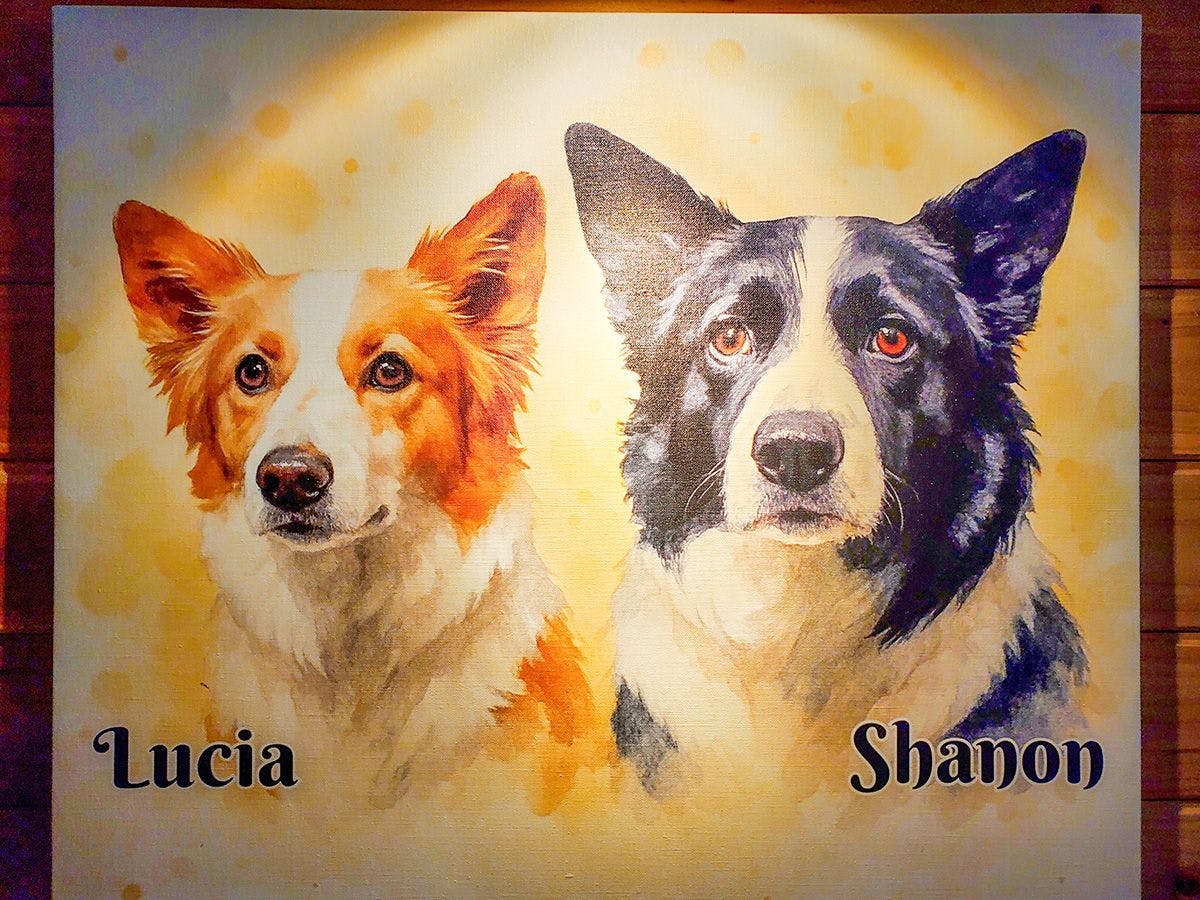 Dog's Pension Shanonchi