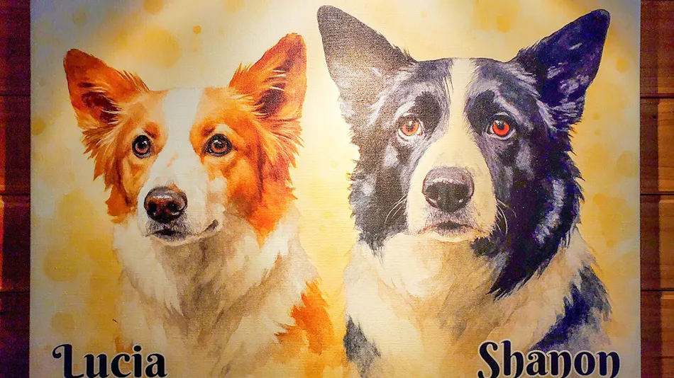 Dog's Pension Shanonchi