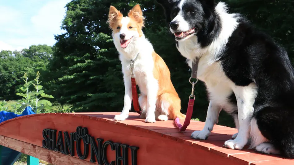 Dog's Pension Shanonchi