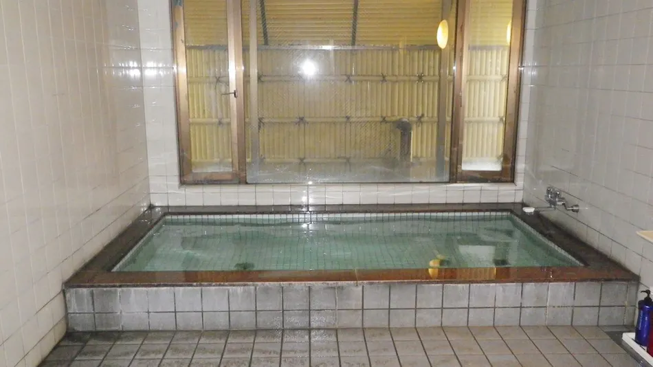 Business Ryokan Tonegawa
