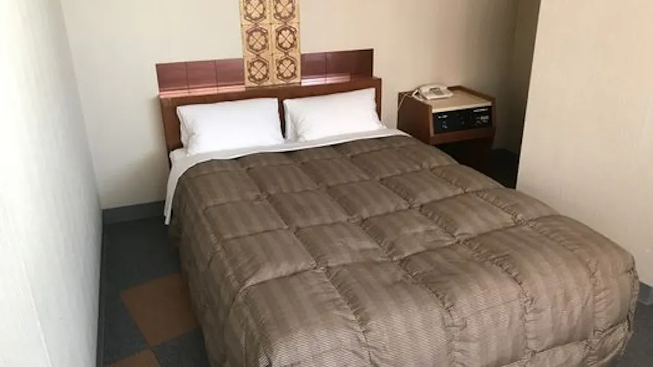 Kanazawa Flex Hotel
