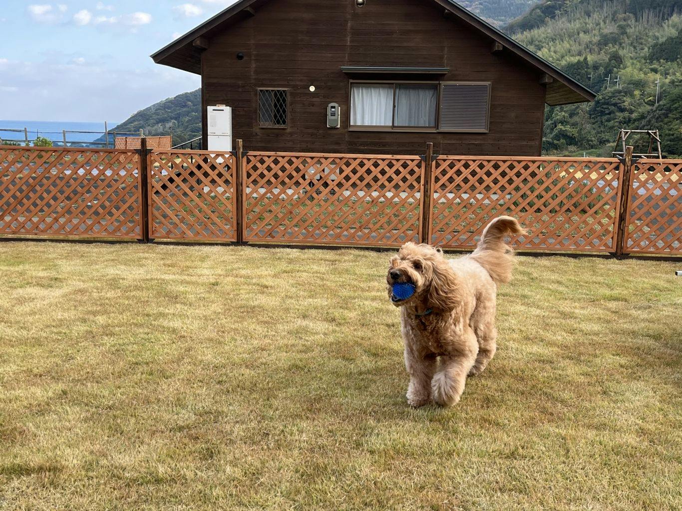 Maizuru Fururu Farm Cottage