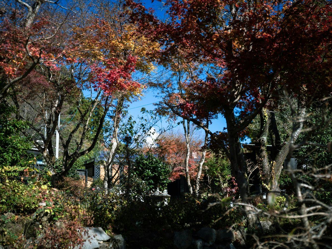 Villa Konjaku-an