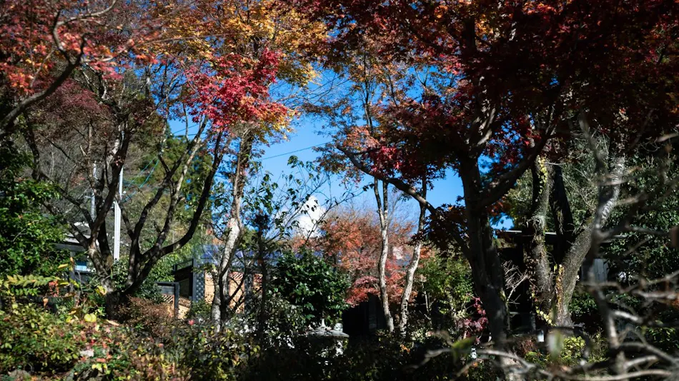 Villa Konjaku-an