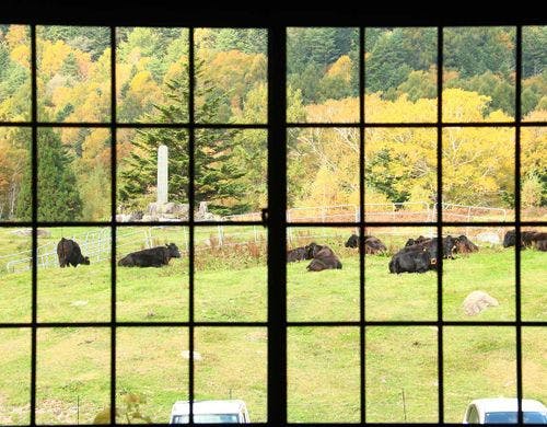 【客室】 スタンダード和室7.5畳