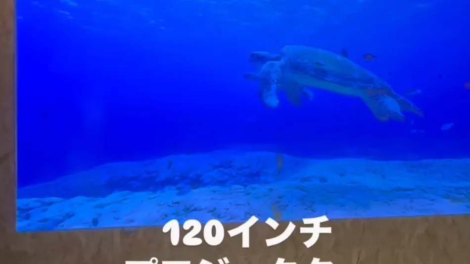 Stayable Traditional House BBQ Site YODO