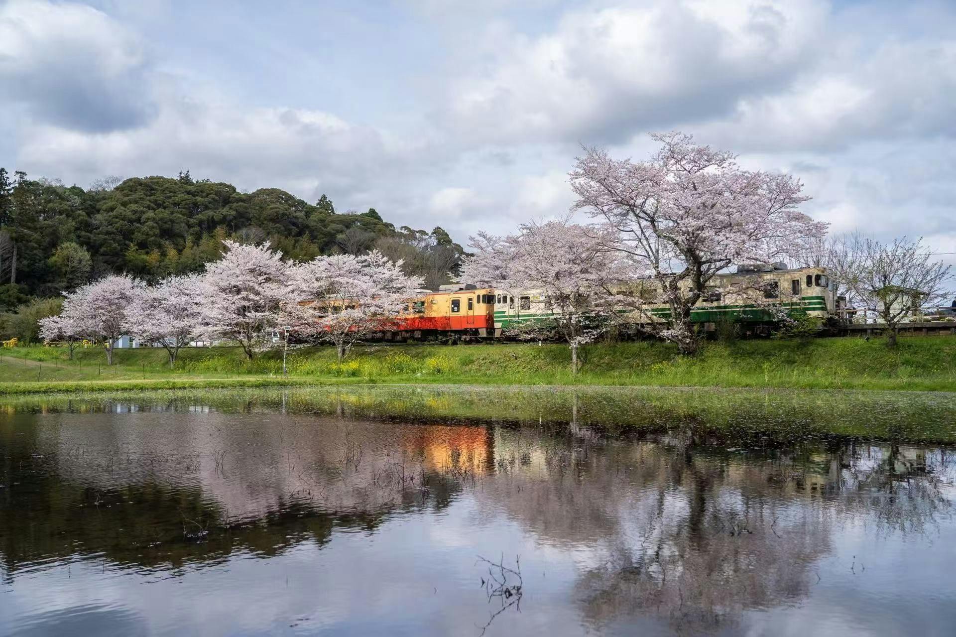 Villas Minato