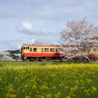 Nikmati pemandangan Jalur Kereta Kominato.