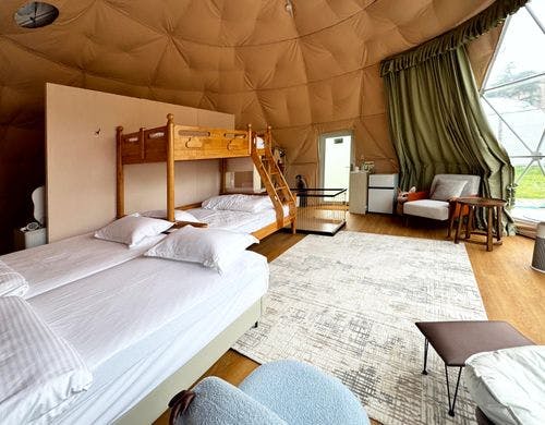 withペット<BR>2段ベッド