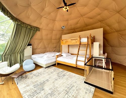 ドームペット2段ベッド