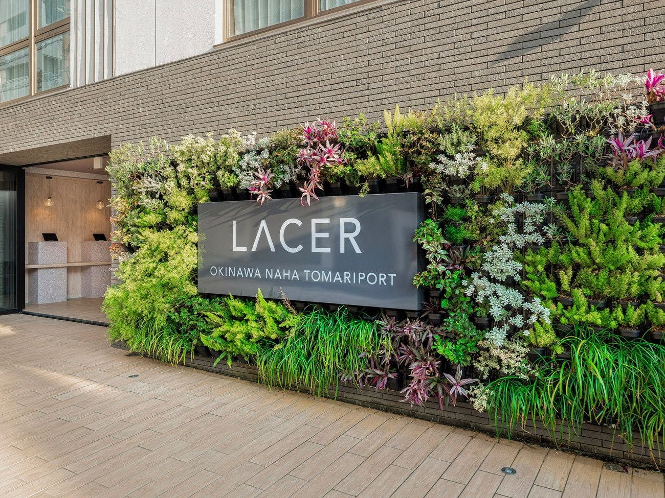 รูปลักษณ์ภายนอก