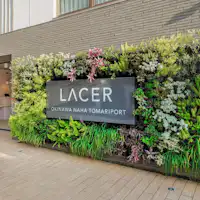 รูปลักษณ์ภายนอก