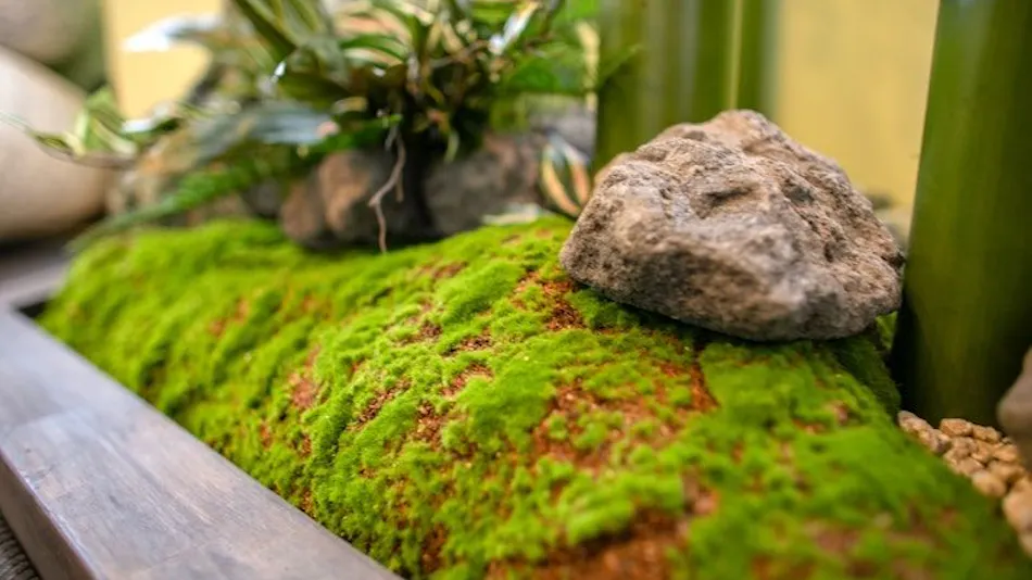 Ryokan Chikusui ~Nipponbashi~