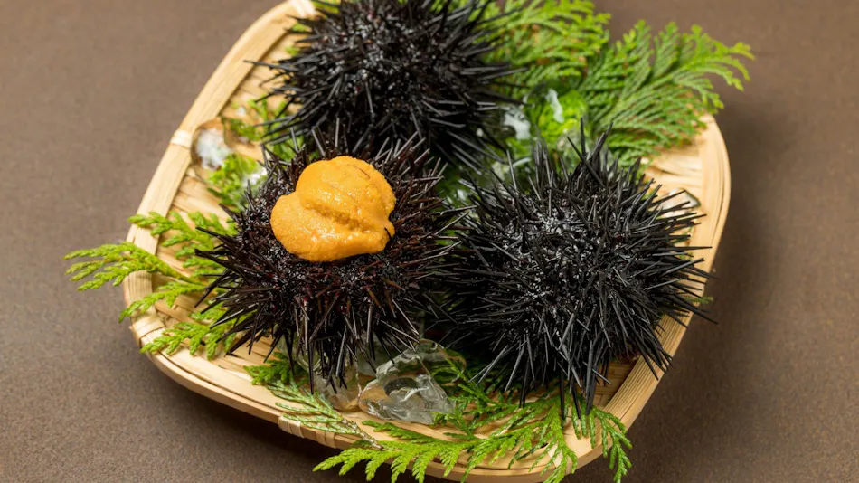 THE RITOMARU IKI Kaze no Oyado