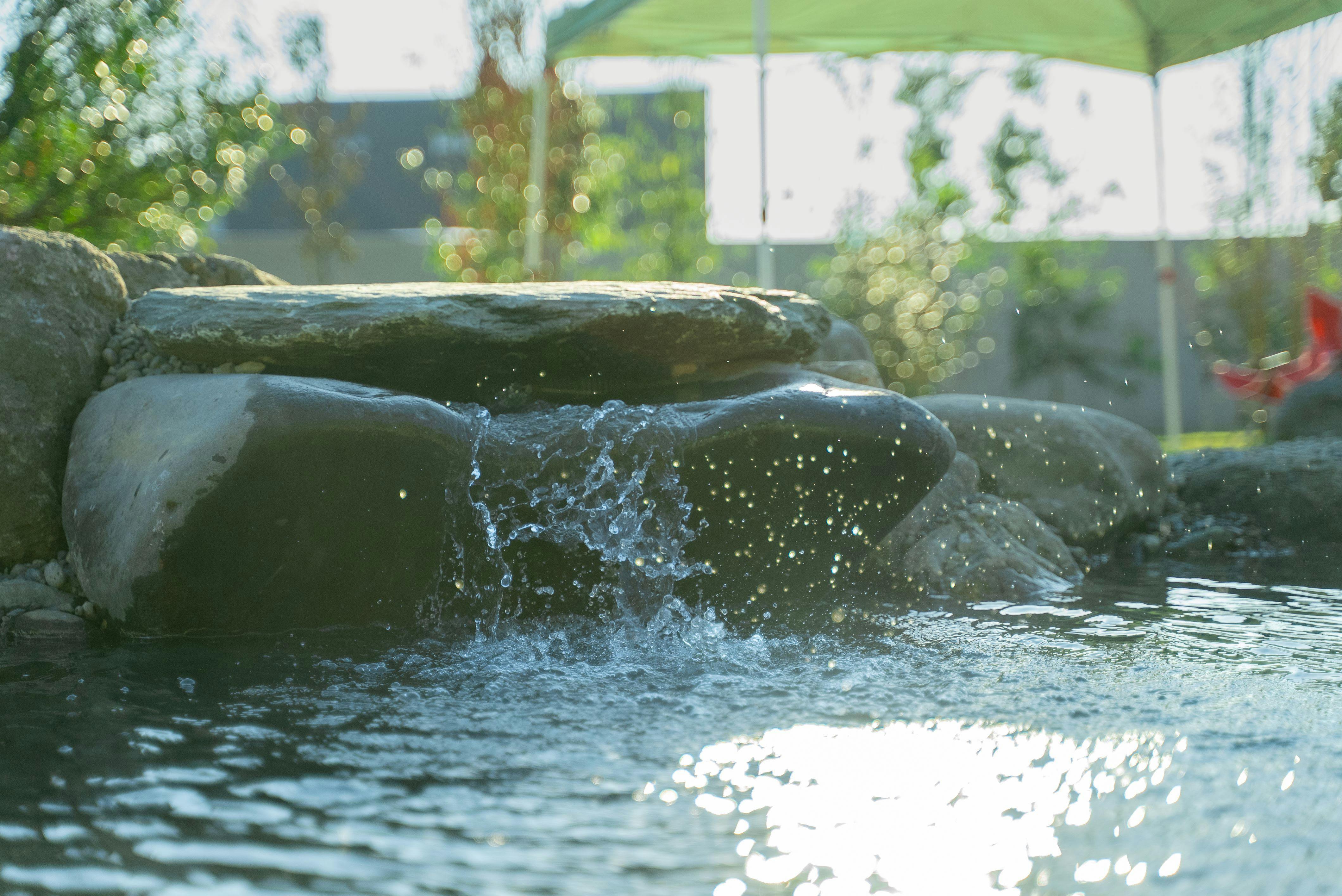 THE W Relax Garden Resort
