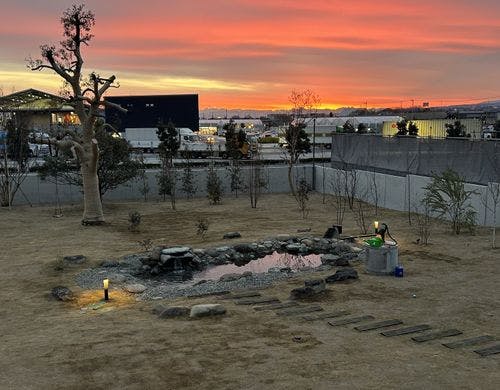 夕暮れの芝生広場