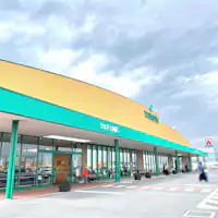 ซูเปอร์สึรุยะ