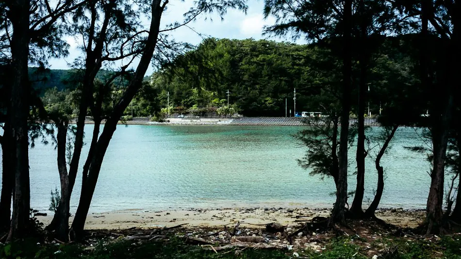 CORAL ISLAND
