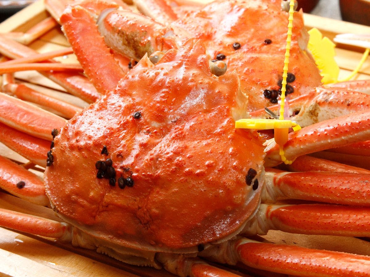 料理民宿　福島