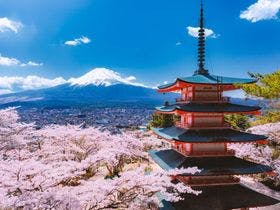 リゾートイン芙蓉　河口湖インター店