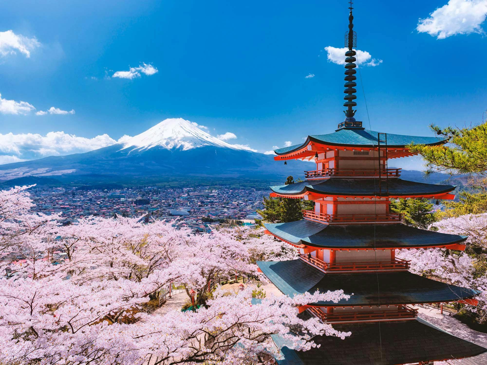 【開車15分鐘可達新倉山淺間公園】