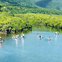 【Wisata】Jelajahi Hutan Mangrove dengan Kano