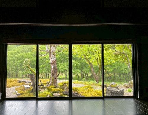 【木叢】緑豊かな景色を独り占め