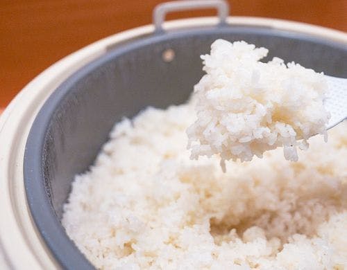 炊きたてごはん