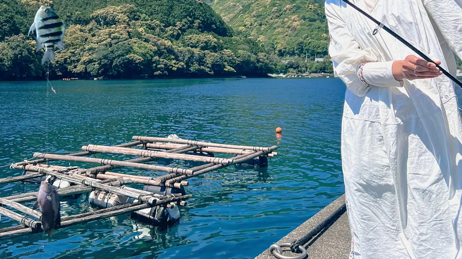 SENT: Seaside Traditional Japanese House Accommodation (Entire Building Rental)