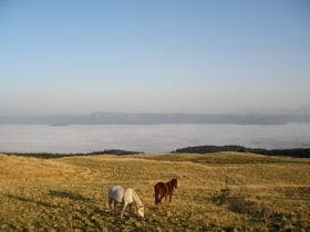 ペンション　かかしのかくれ家