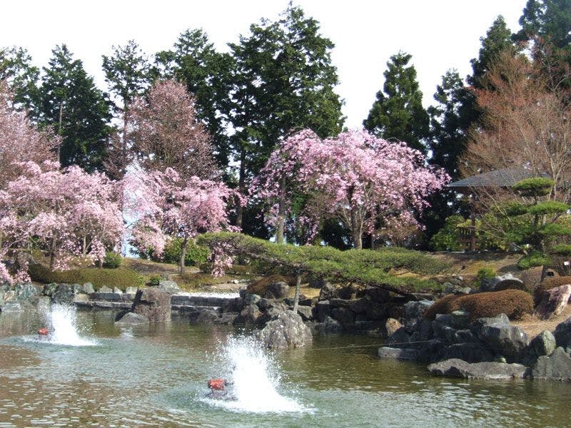 Onishi Kanko Hotel