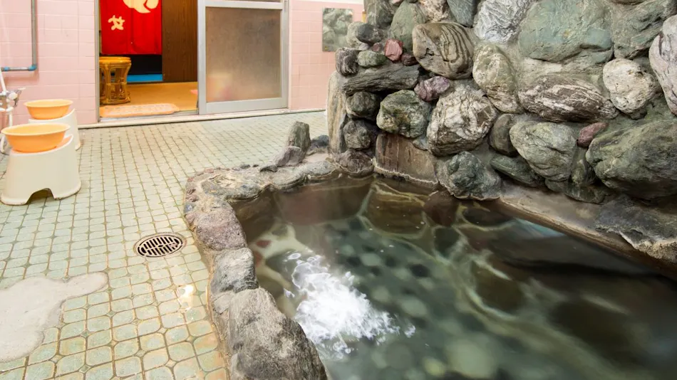 Onishi Kanko Hotel