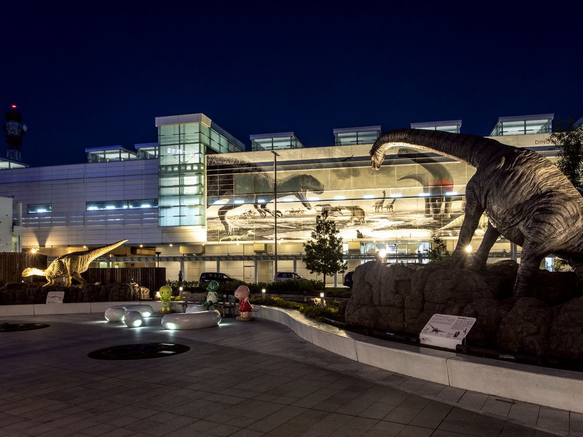 【บริเวณใกล้เคียง】สถานี JR ฟุคุอิ◇กลางคืน