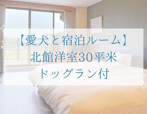 【愛犬と宿泊ルーム】 北館洋室30平米