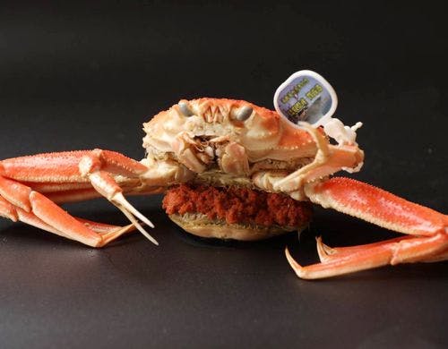 冬の味覚・松葉カニ　※写真はイメージです