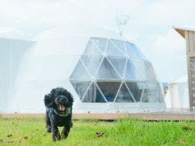 ｙａｍａｇａｔａ　ｇｌａｍ