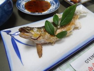 ปลาธรรมชาติจากแม่น้ำชิมันโต